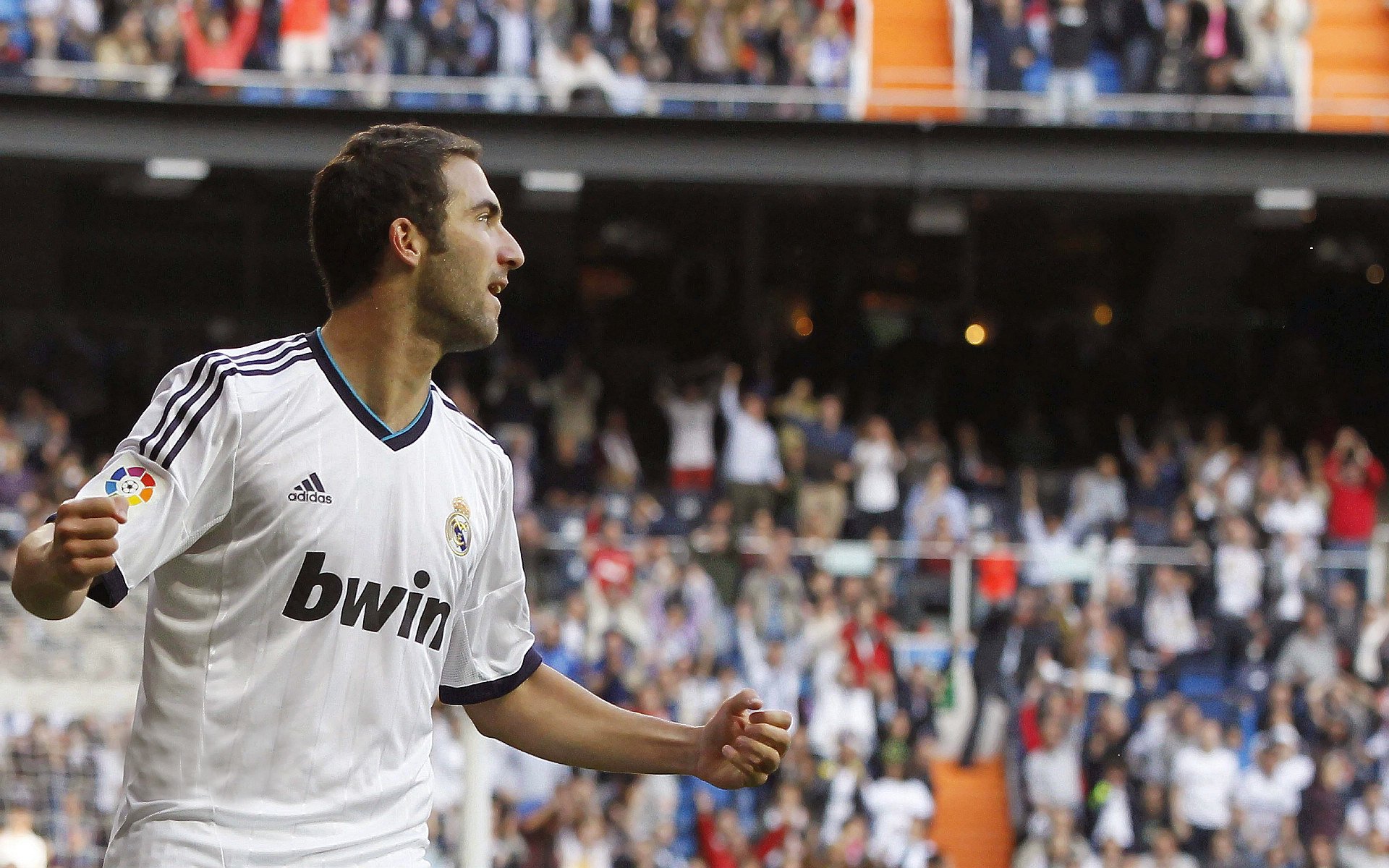 最强核心训练动作